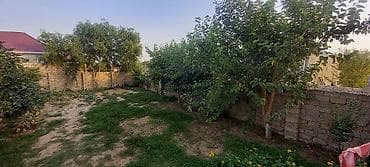basavik satisi: Çox TƏCİLİ ƏLİMYANDI SATILIRHasarlı daş hasarla əhatələnmiş həyət — 3
