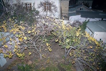 бина аз аренда квартир: 🔥🔥İŞ ADAMLARI ÜÇÜN ƏLA FÜRSƏT!!!Obyekt Icarəyə verilir🔥🔥 📍 Gənclik — 22