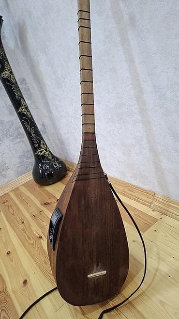 Fleytalar: Elektro saz — akustik-elektrik xalq aləti İdeal vəziyyətdədir . Çox az — 2