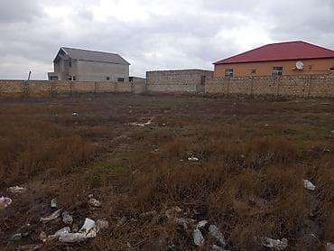 massive: 12 sot, Tikinti, Kupça (Çıxarış) — 2