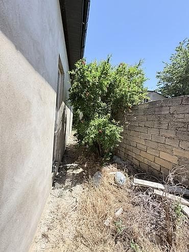 Həyət evləri və villalar: 3 otaqlı, 110 kv. m, Kredit yoxdur, Təmirsiz — 4