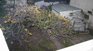 бина аз аренда квартир: 🔥🔥İŞ ADAMLARI ÜÇÜN ƏLA FÜRSƏT!!!Obyekt Icarəyə verilir🔥🔥 📍 Gənclik — 14