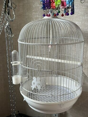 quş qəfəsləri: Quş qəfəsləri – dekorativ və funksional modellər - Formalar: dairəvi — 2