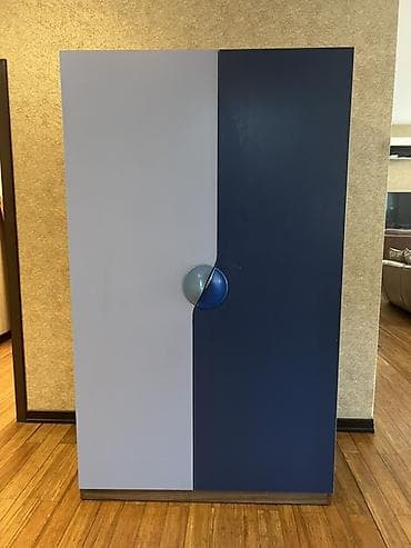 islemis dolablar: İşlənmiş, 2 qapılı, Rəngli, Açılan, Düz dolab — 1