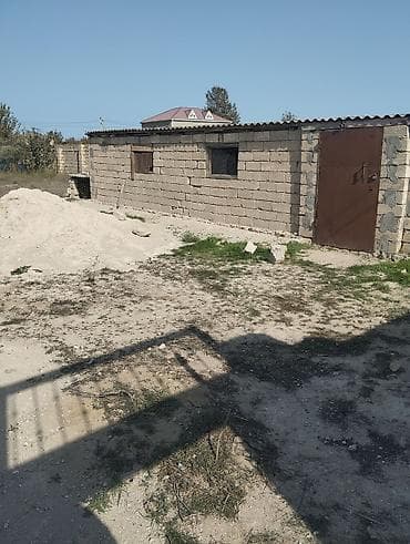 binə savxozda torpaq: Kənd təsərrüfatı — 4