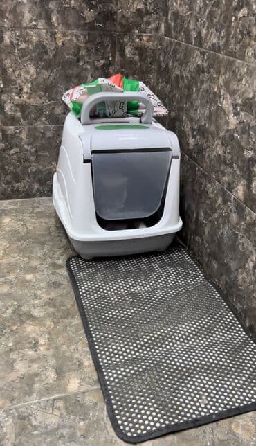 Digər heyvanlar: Şotland, Dişi, Ünvandan götürmə — 4