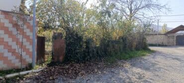 quba amsar: 4 sot, Maklerlər narahat etməsin, Kupça (Çıxarış) — 7