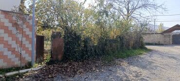 kiraye evler ecemi ucuz: 4 sot, Tikinti, Mülkiyyətçi, Kupça (Çıxarış) — 3