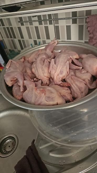 Bildircin 2manatdan baslayir