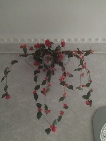 вешалки для магазина: Новый, Платная доставка, Самовывоз — 3