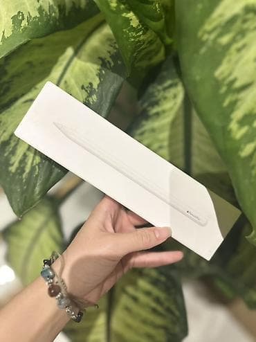 Apple Pencil Pro - Model: Apple Pencil Pro (qutunun üzərində qeyd — 1