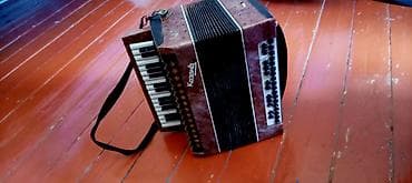 Akustik Akkordeon