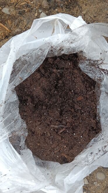 1 eded qizil gul qiymeti: Torf gubresinn satişi torf balaken 2.50 300den cox alana catrlma — 14