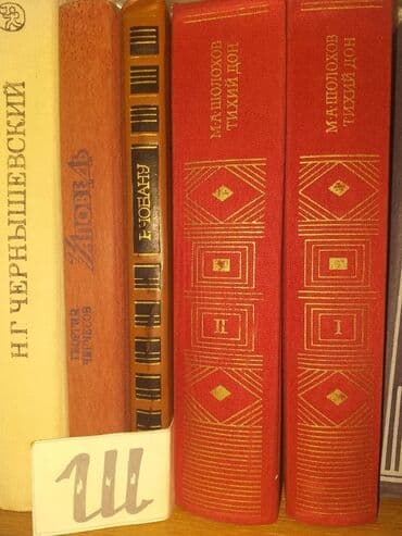 репетитор по русскому языку 5: Книги на русском языке более 600 книг цена договорная возможна — 4