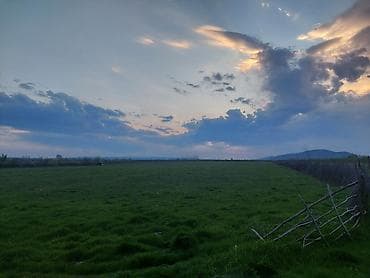 lalafo.az quba: Kənd təsərrüfatı — 3