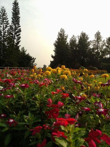 canon powershot a2300 is: 5k Digital camera. Bahalı markalara pul xərcləməyinizə ehtiyac yoxdur — 4