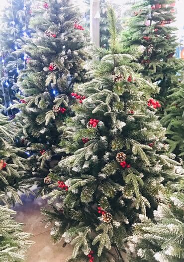 palma agaci satisi: Kremlovski yolka teze mallar 120 sm -75 man 150 sm -120 man 180 sm — 2