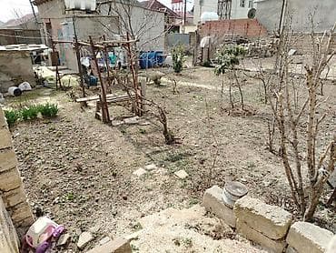 villa insaat mmc: Tikinti — 7