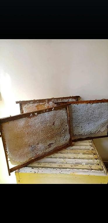 İçkilər: Süzülmüş təmiz dağ balı. Öz istifadəmiz üçün saxlayırıq artıq olanı — 5