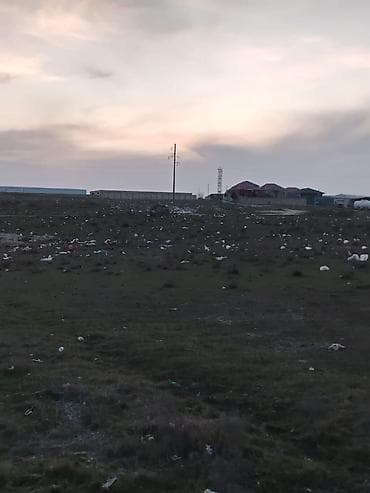 alisa qiymeti: 34 sot, Kənd təsərrüfatı, Kupça (Çıxarış) — 3