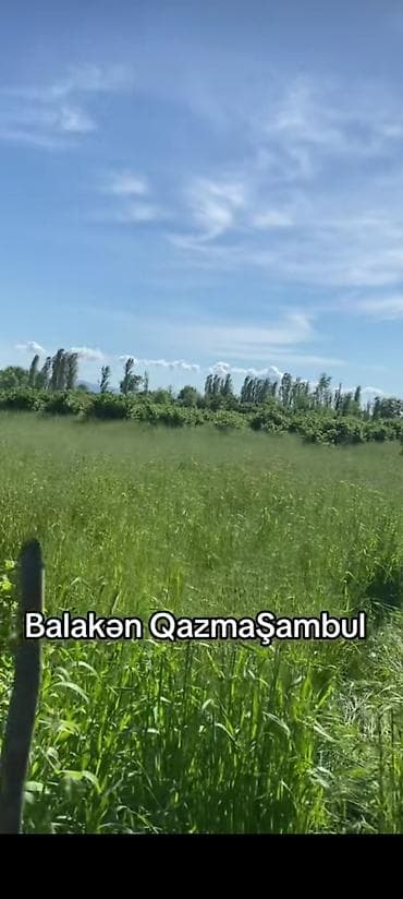 Kənd təsərrüfatı lalafo.az -da Kənd təsərrüfatı