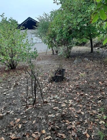 xankəndi kirayə ev: 2 otaqlı, 45 kv. m, Kredit yoxdur, Təmirsiz — 3