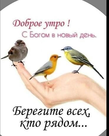 kişi geyim: - Xüsusi dizayn kişi gün eynəyi - Qara linzalar, klassik “aviator” — 3