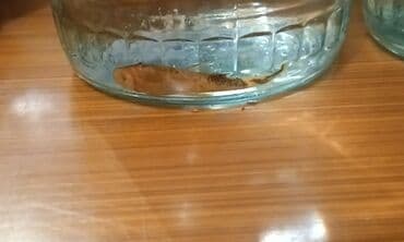 azerbaycanca pişik adlari: Salam! 1 şəkil -Akvarium - 35 manata 40 idi 2 şəkil -filtr - 16 — 10