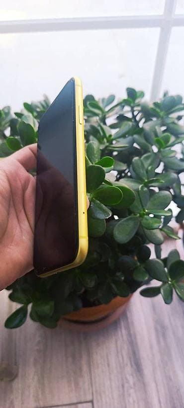 ikinci el iphone 16: IPhone 11, 64 GB, Sarı, Zəmanət, Barmaq izi, Simsiz şarj — 3