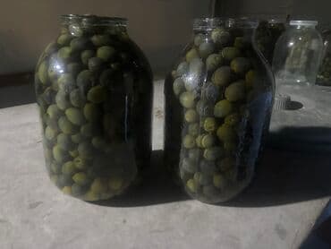 525 prob qizil: Qara zeytun eladi dadi — 1