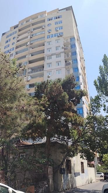 3 otaqlı, Yeni tikili, 140 kv. m — 1