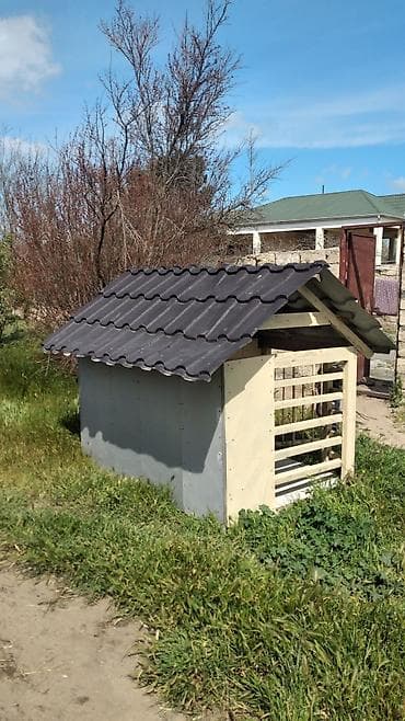 продажа мебели бу: Quş xana tep teze hec işdenmib itde saxlamağ olar tezedi isdifade — 4