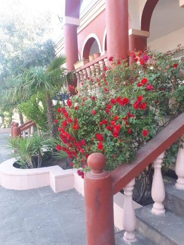 semaye sadliq sarayi: 200 kv. m, 5 otaqlı, Hovuzlu, Kombi, Kanalizasiya — 15