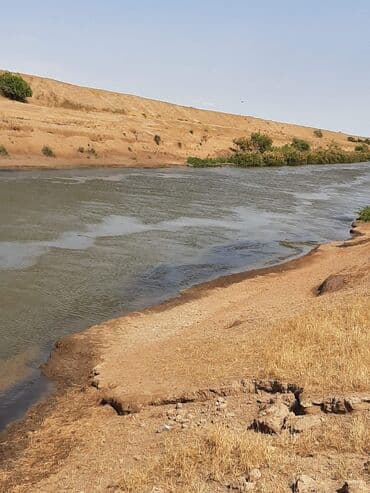 сдается 3 комнатная квартира: 40000 sot, Kənd təsərrüfatı, Mülkiyyətçi, Müqavilə — 7