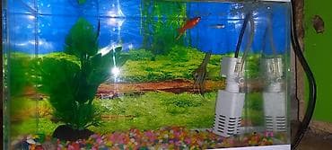 akvarium kompressor: Akvaryum dəsti - Şüşə akvaryum – kompakt ölçülü, düz künclü, şəffaf — 1