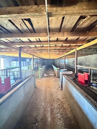 туркян баку земля цена: 11 соток, Для сельского хозяйства, Собственник, Бялядия (муниципалитет) — 2