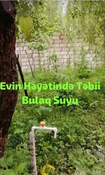 tecili satilan heyet evleri 2023: 100 kv. m, 3 otaqlı, Kombi, Qaz, İşıq — 19