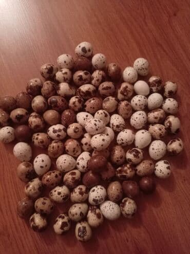 Bildirçin yumurtası 12 ədədi 2azn.təzə yumurtalardır və ölçüləri