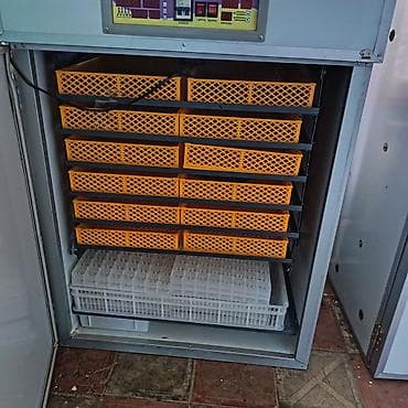 inkubator satisi: 1100 yumurta, Çin, Tam avtomat — 4