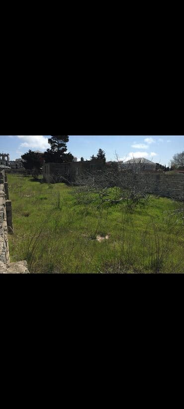 Tikinti lalafo.az -da Tikinti