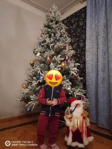 Yeni yolka 2metr 40sm. oyuncaqlarla birlikde. Əlavə işıqlarıda var lalafo.az -da Yeni yolka 2metr 40sm. oyuncaqlarla birlikde. Əlavə işıqlarıda var