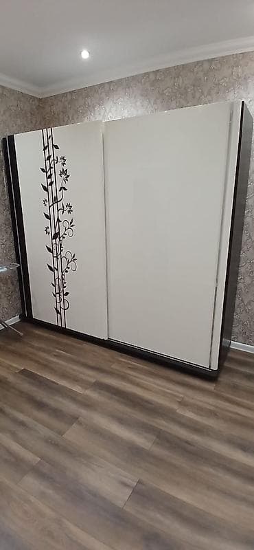 İşlənmiş, 3 qapılı, Güzgülü, Rəngli, Digər material, Kupe, Düz dolab