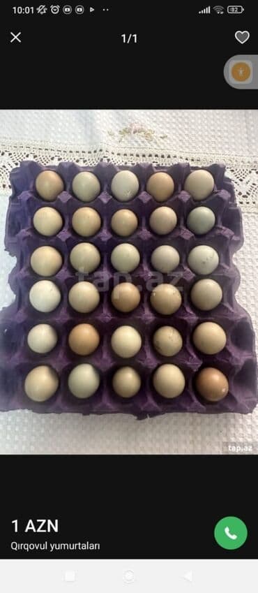 ev yumurtası: Məhsul: Qırqovul yumurtaları Təsvir: - Təbii rəng çalarlarında (krem — 1