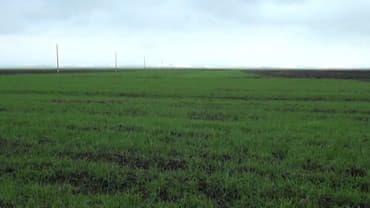 xacmaz torpaq bazarında: 192 sot, Kənd təsərrüfatı, Maklerlər narahat etməsin, Kupça (Çıxarış) — 3