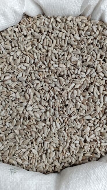 İçkilər: Məhsul: Günəbaxan tumu ləpəsi (qabıqsız) Təsvir: - Təmizlənmiş — 1