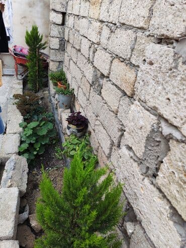 torpaq ev alqi satqisi: Satılır: həyət evi 7daş kursulu padvali var 1ton su ceni su matoru — 3