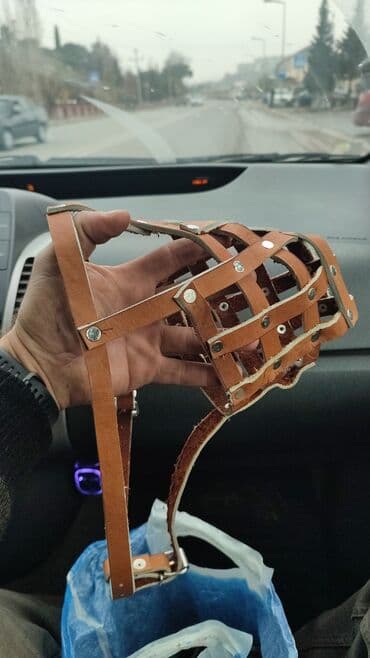 Namorniklər satılır çoban itləri Kanqal qurdbasar ovçarka və s.(