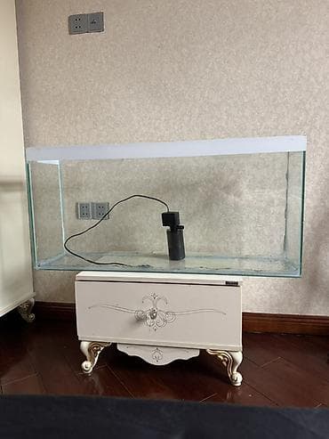 Şüşə akvarium + daxili filtr - Düzbucaqlı şüşə akvarium, şəffaf