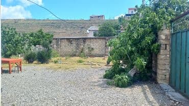 elmler ev: Novxanı, 130 kv. m, 3 otaqlı, Hovuzsuz, İnternet, Telefon, İşıq — 9