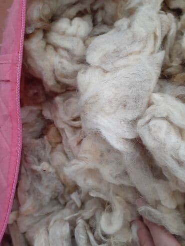 təmiz yun: Temiz yundi dosek 1kq 6m real alici zeng elesin — 1